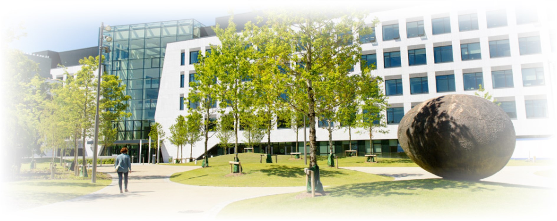 a photo of UCD campus
